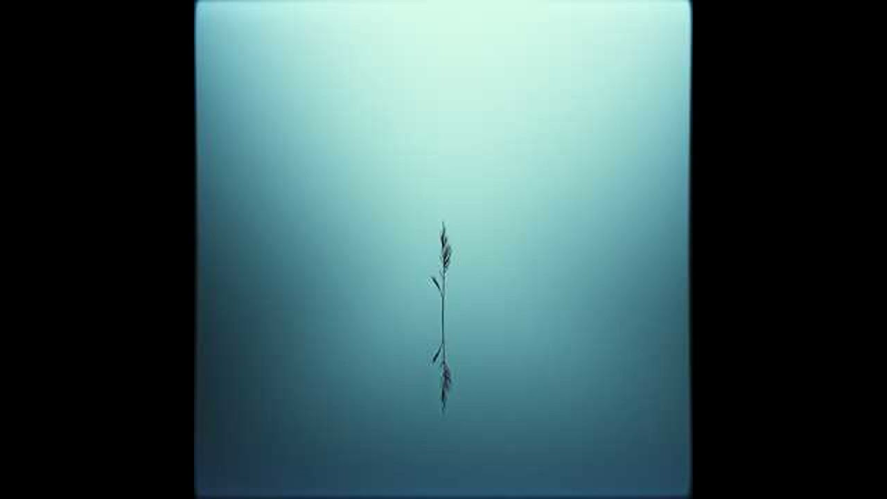 Lost in Life's Whispers