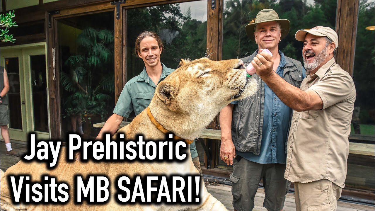 Jay Prehistoric Pets Visits Myrtle Beach Safari!