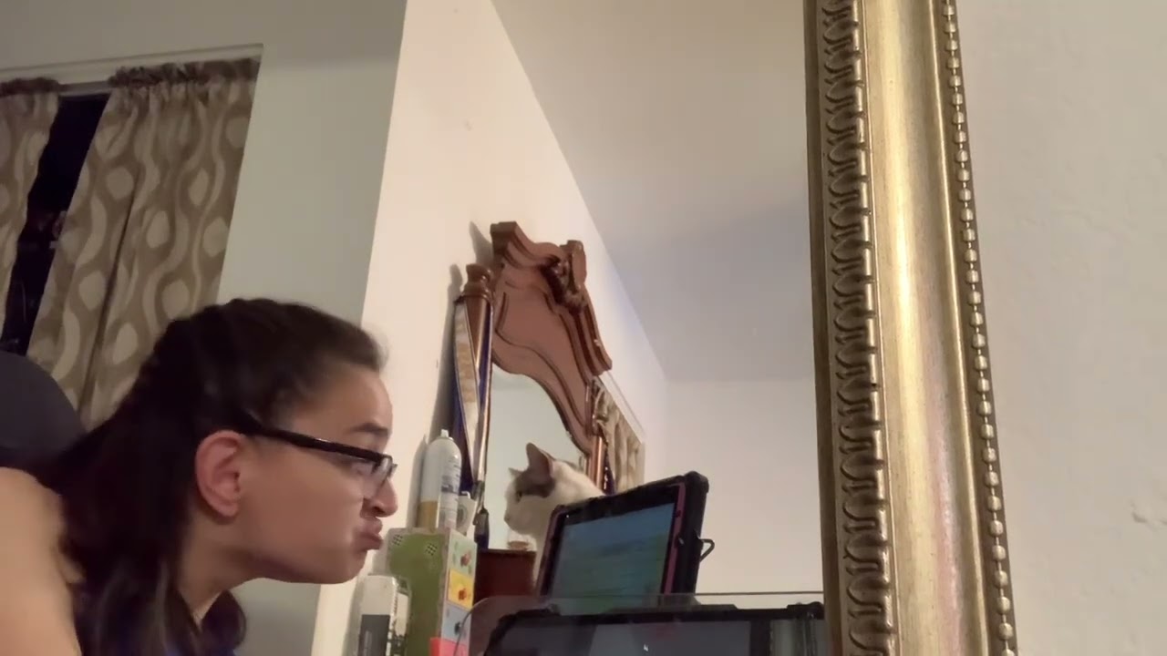 ATIA 2024 Possible Prentke Nominee's Video