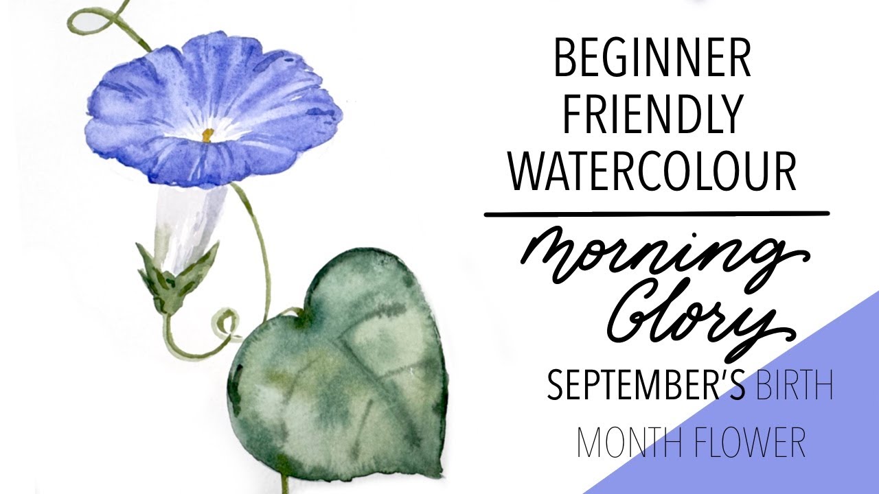 Painting September's Birth Month Flower - Morning Glory!