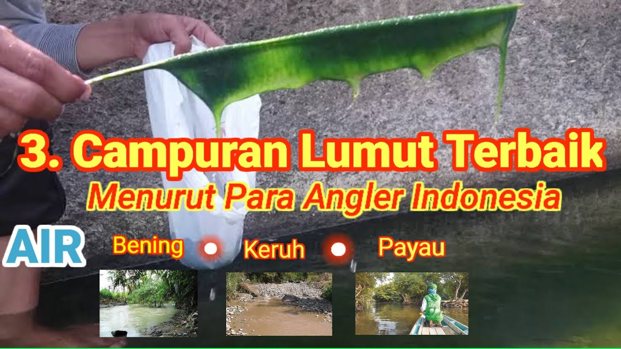 3 CAMPURAN LUMUT TERBAIK ||VERSI ANGLER INDONESIA