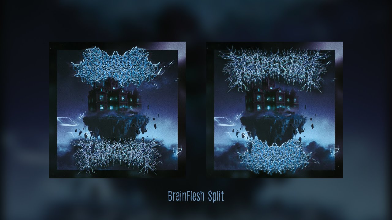 BRAINS OUTWARD/PEELINGFLESH - BRAINFLESH [OFFICIAL SPLIT STREAM] (2024) SW EXCLUSIVE