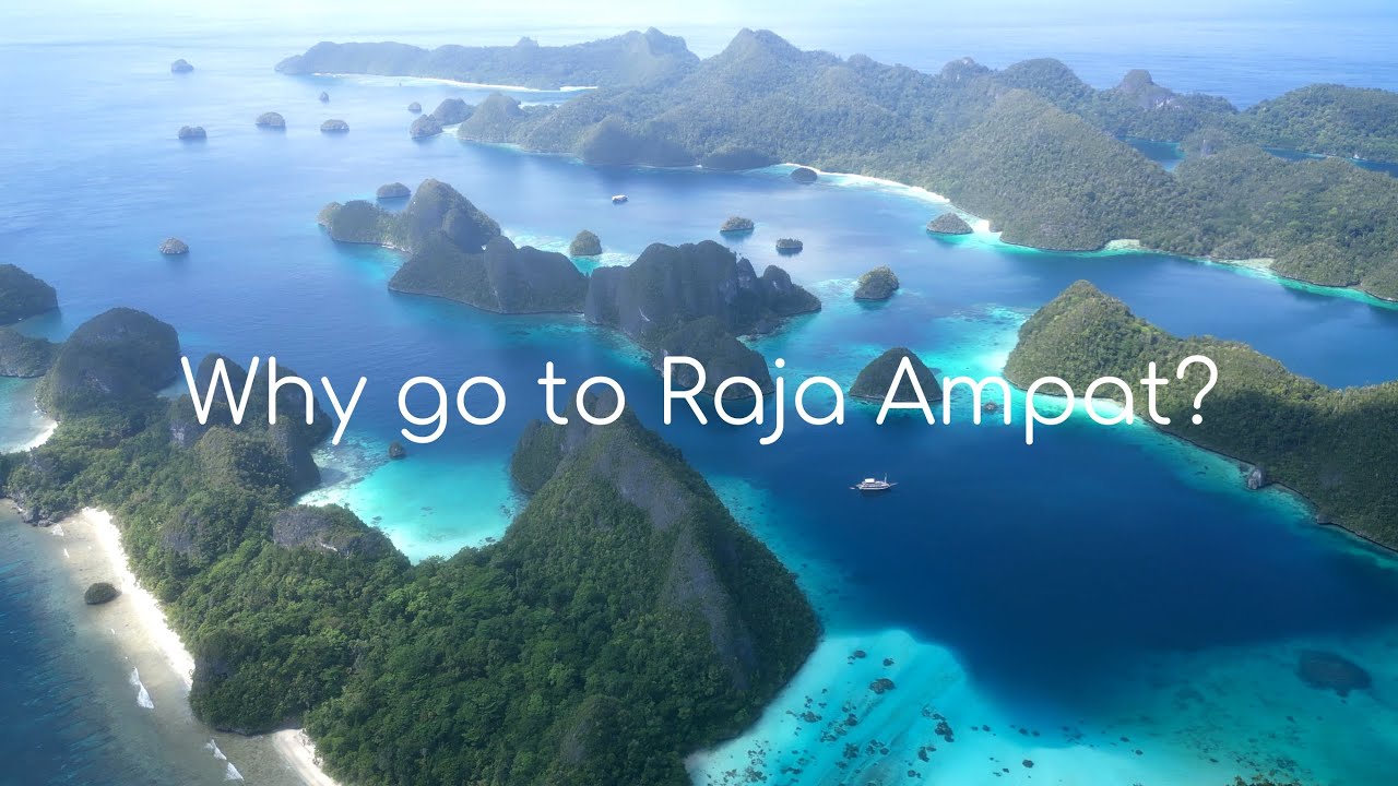 Why Go to Raja Ampat? | Freediving Adventures in Paradise