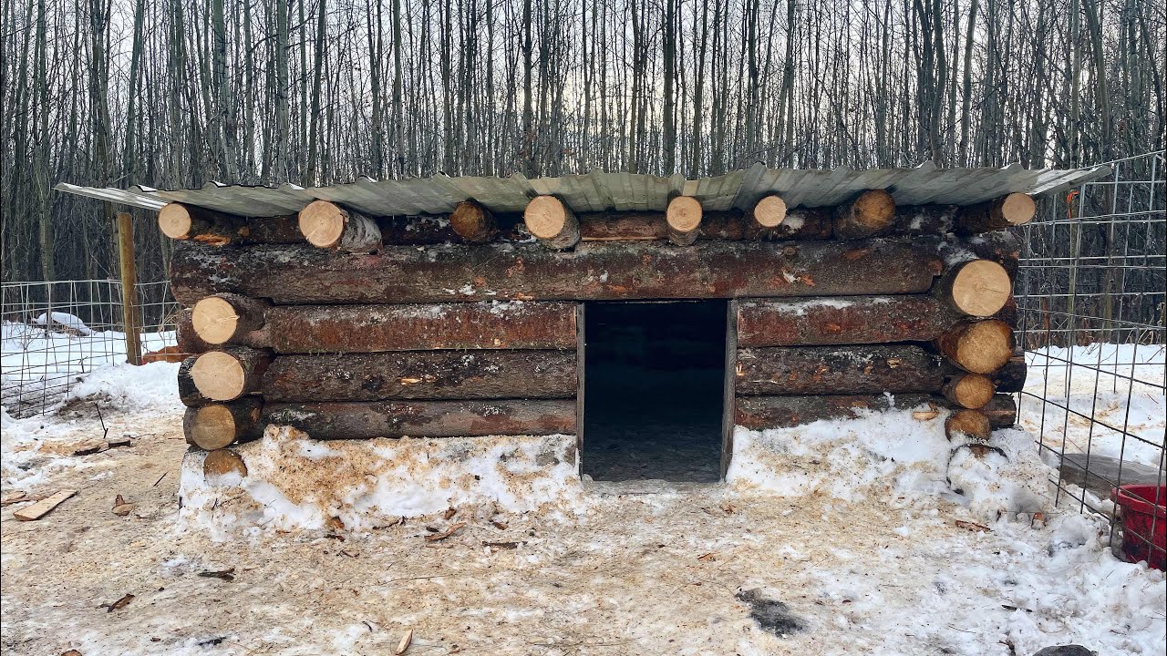 Building a Pig Cabin | Updated Pig Pen Tour