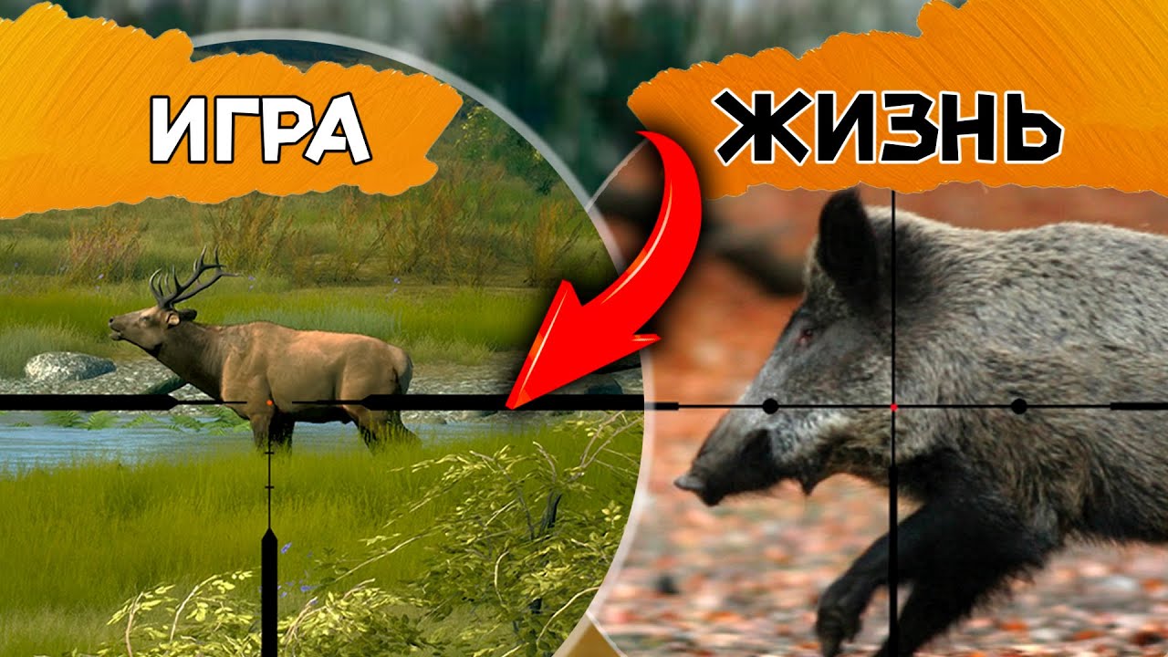 Сравнение ИГРЫ и РЕАЛЬНОЙ ОХОТЫ 🤯🤯🤯Way Of The Hunter