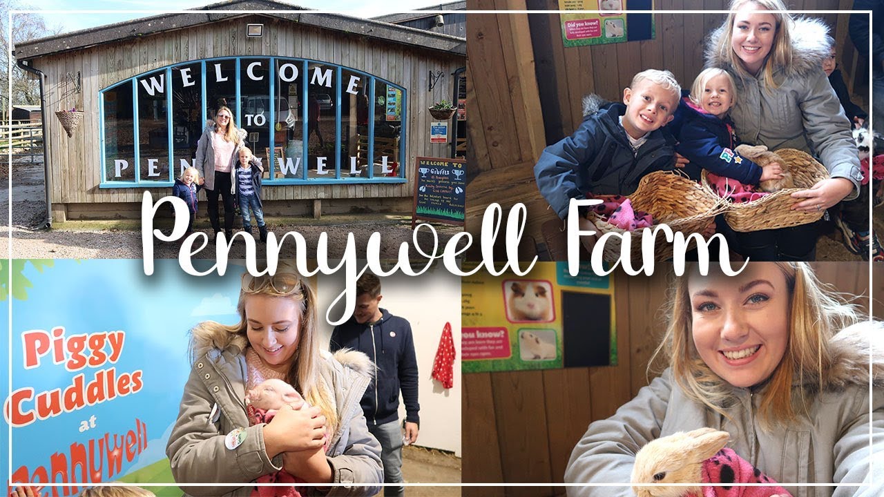 PENNYWELL FARM REVIEW AND VISIT - A DAY IN THE LIFE IN DEVON - LOTTE ROACH