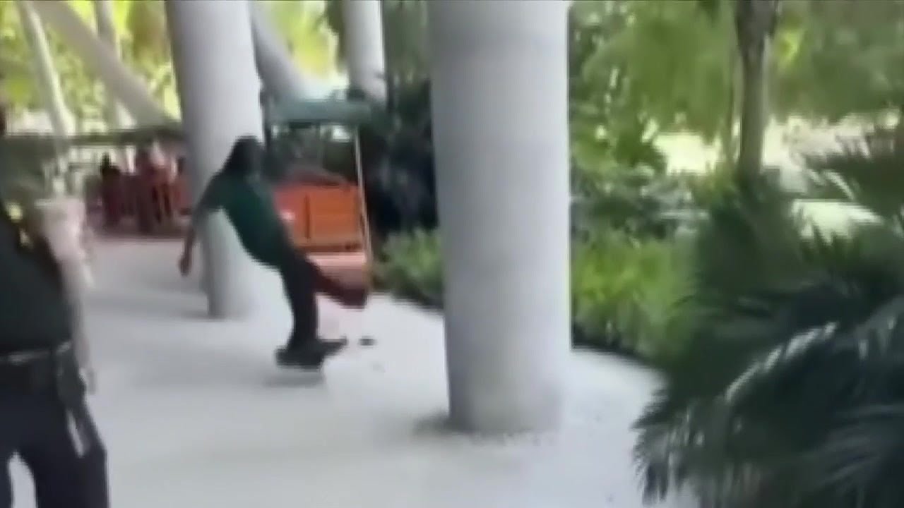 University of Miami students call for action after beloved campus duck seen on video being attacked