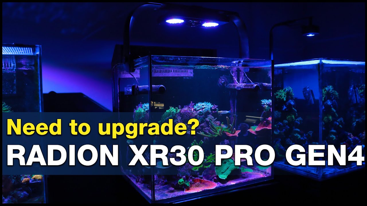 Is it worth upgrading your Radion Pro Gen4? Maybe not, but you decide using real data.