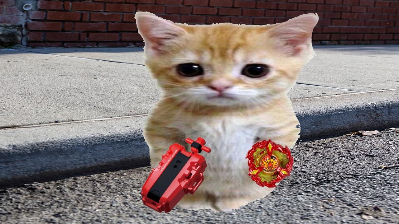 I Went To my Beyblade Local AGAIN