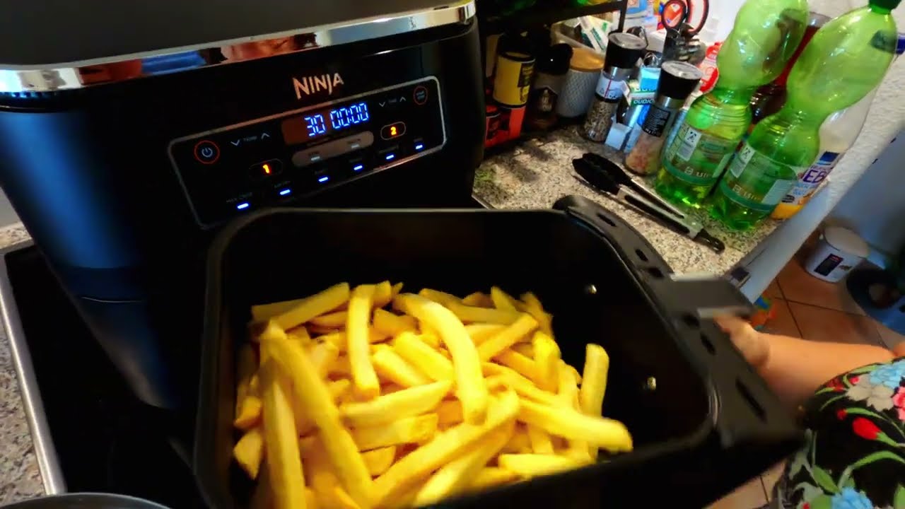 Ninja Foodi Dual Zone in the test hot air fryer AF300EU (chicken thighs with fries)
