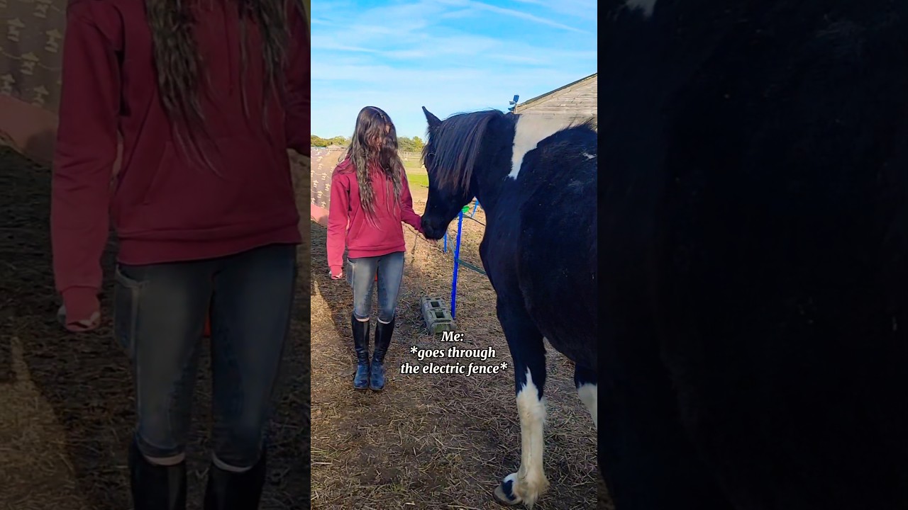 CRAZYYYY RIGHT!? 🤪💜 #horse #shorts