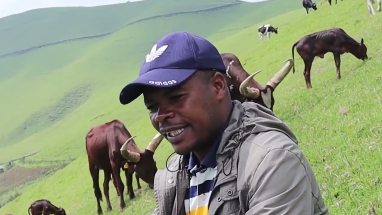 MASISI YACU NZIZA: kera twari abavandimwe turapfa iki Dutemberane ibice bitandukanye  bya Masisi