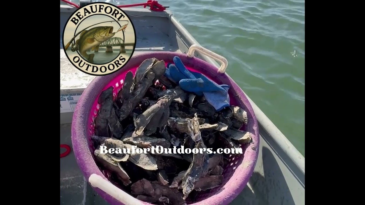 Beaufort,SC Oysters #fishing #outdoors #lifeisbutadream #camping #motivation #fun #funny #relax
