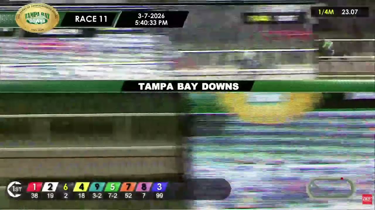 The Puma (Essential Quality) - Tampa Bay Derby G3 $400,000 - Tampa Bay Derby