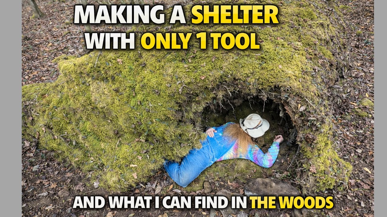 I Built a Survival Shelter With ONLY One Tool (No Gear, No Tarp)