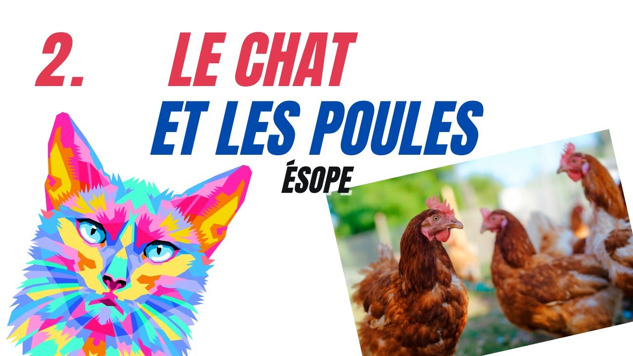 2 le chat et les poules #fables #contes