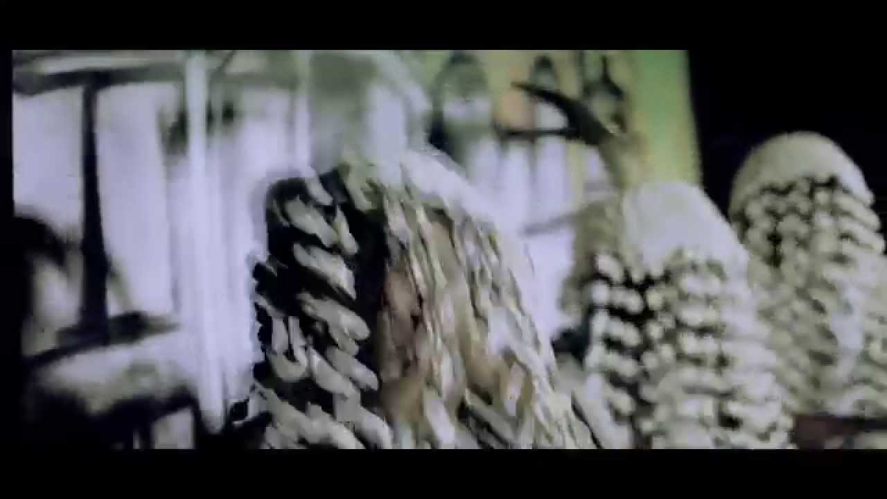 BIBISH MOLA   _Train de l'Emmergence CLIP OFFICIEL  LYNX POST-PROD