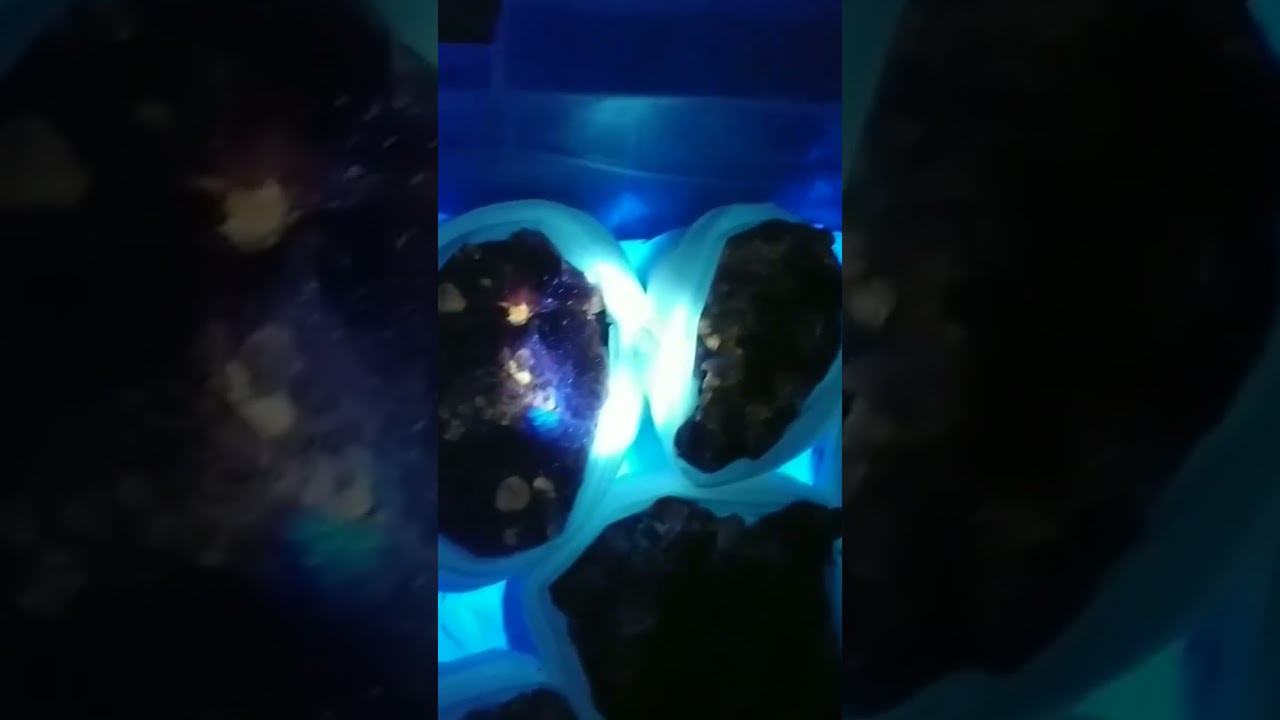 Barite, Cerussite, and Galena OH MY! New Crystals For Your Eyes To Behold! #gems #science #mining