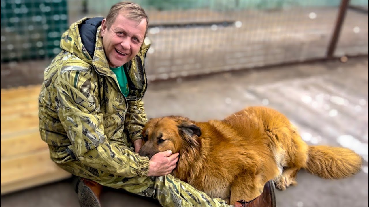 Возле этой собаки Олег Зубков стоял на коленях в Донецке и плакал! ТЕПЕРЬ КАСПЕР ДОМА!