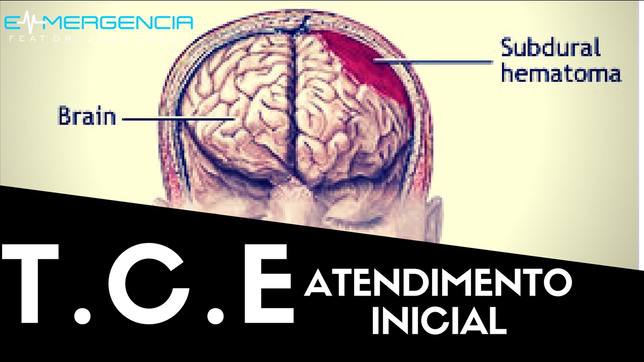 ATENDIMENTO INICIAL AO T.C.E - #012