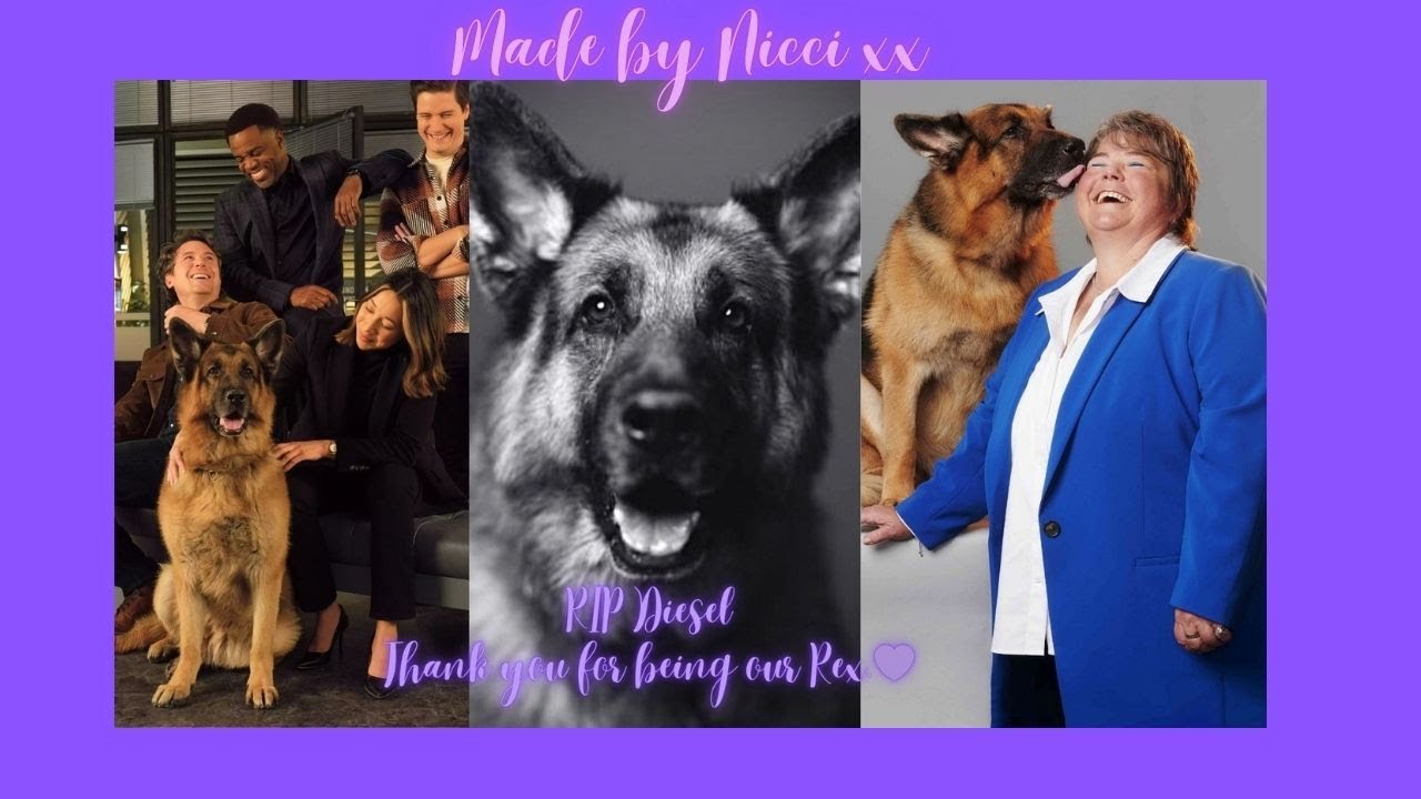 Hudson and Rex Home -  For Diesel Forever Our Rex 💜