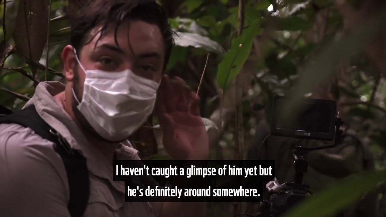 Welcome to the Jungle EXPEDITION CONGO Ep2