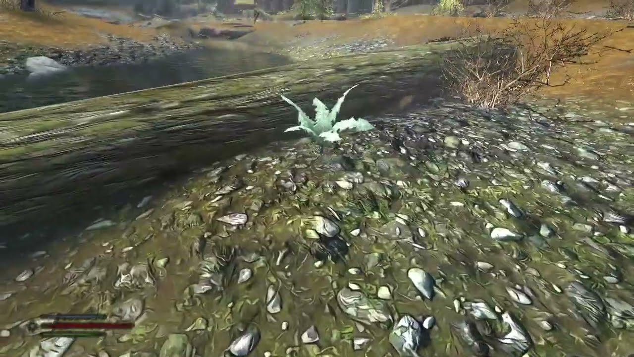 Skyrim | Nirnroot with a little surprise