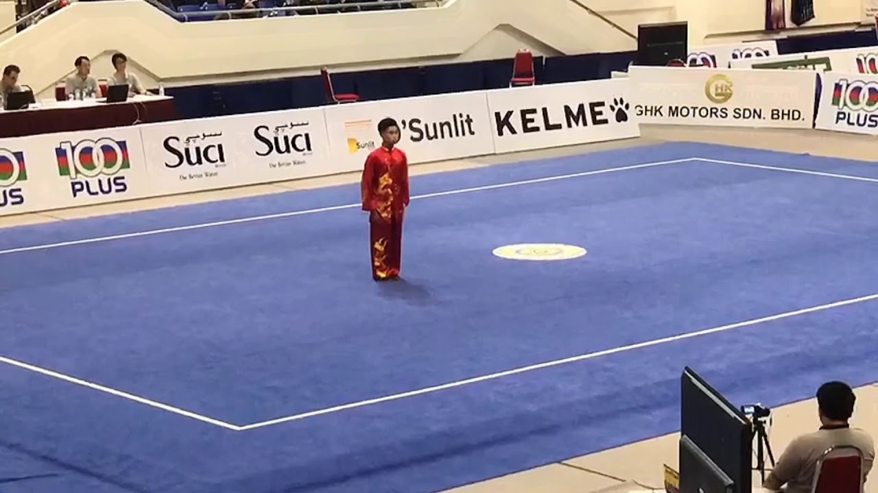 郑宇轩 第三套太极拳《第十届亚洲青少年武术锦标赛》