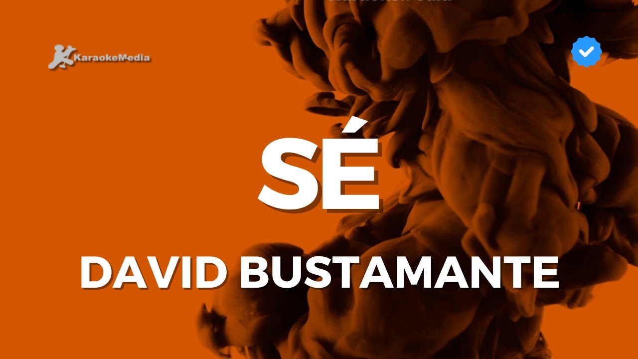 David Bustamante - Sé (Karaoke)