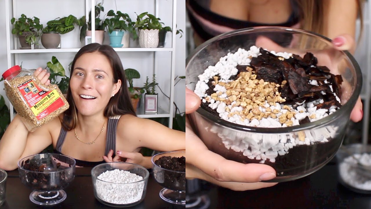 Potting Soil Mixture for Indoor Plants | Indoor Plant Soil Mix