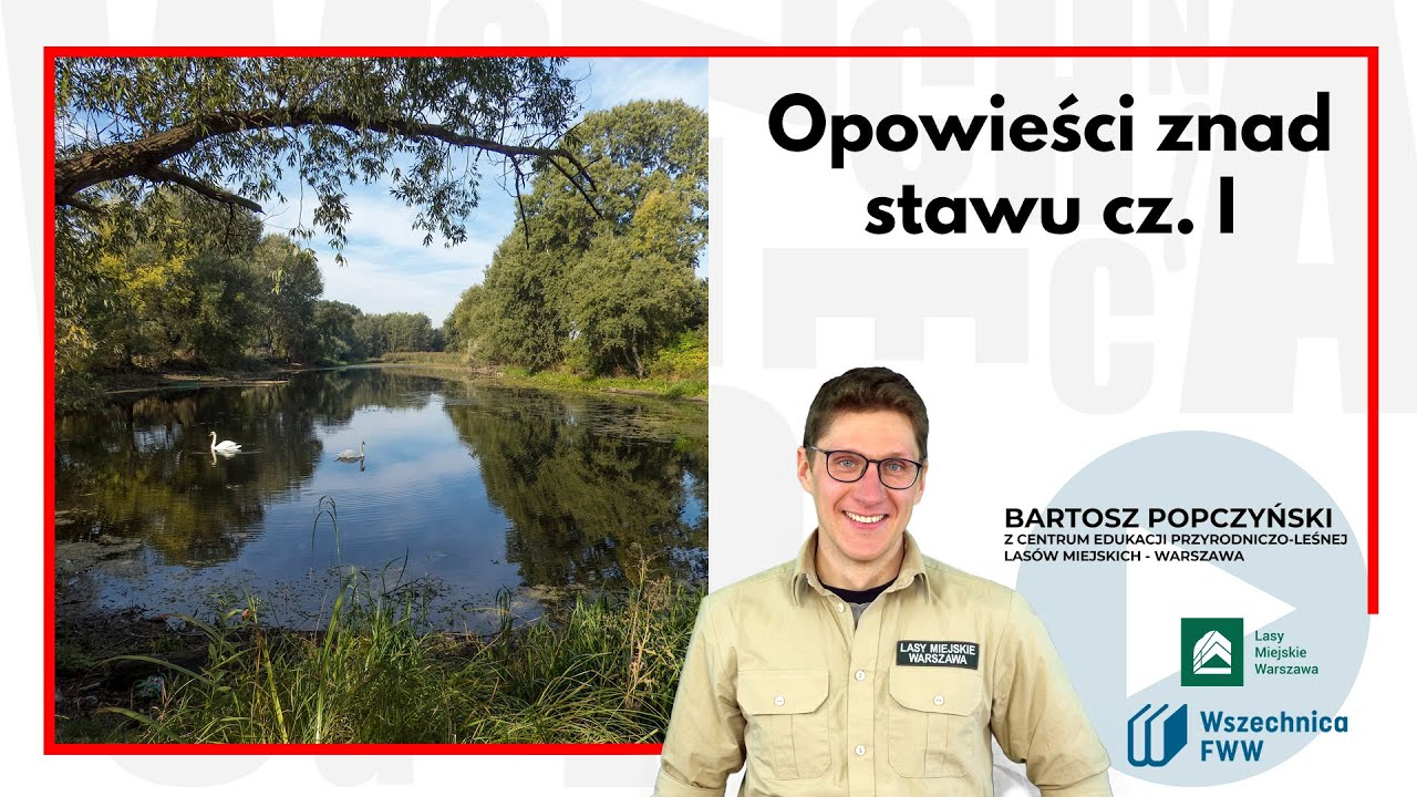 Opowieści znad stawu cz. 1 / Bartosz Popczyński