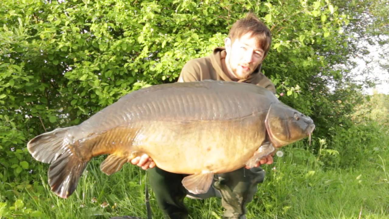 20 kg Mirror Carp - by Julian Jurkewitz