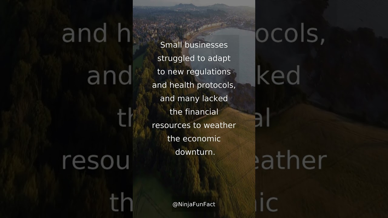 What were the effects of the covid-19 pandemic on small businesses?