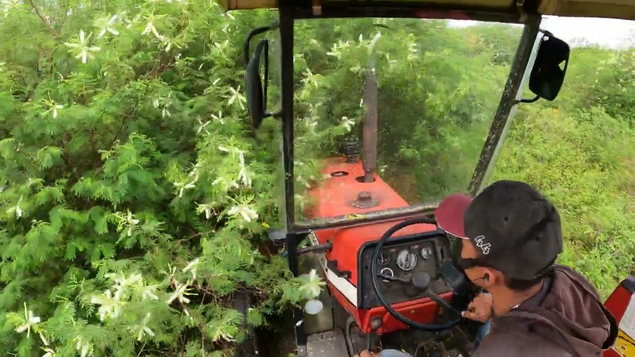 Imagem de dentro do trator Massey Ferguson 290 roçando mato na zona urbana de cacimba de dentro pb