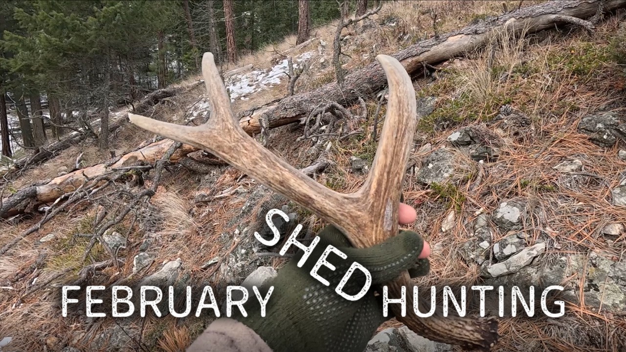 Shed Hunting 2026 | Success | -15 Shelter | Campfire Cooking | Wolf's!!