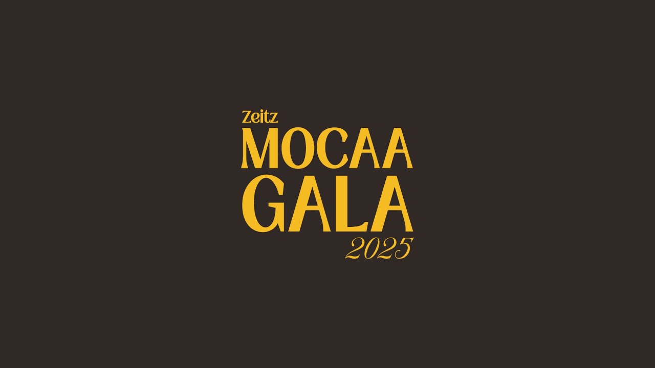 Zeitz MOCAA Gala 2025 Highlights