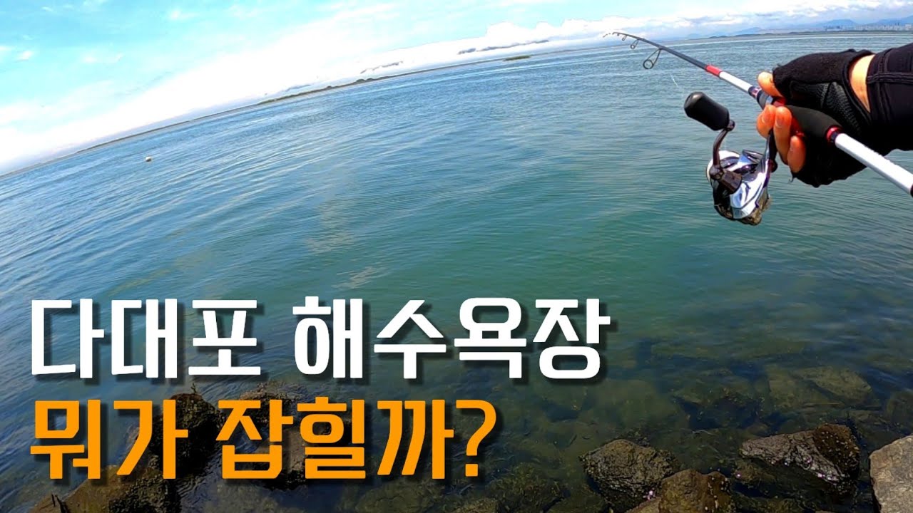 다양한 어종이 나오는 부산 낚시 포인트 [다대포 해수욕장]｜Korean goby fishing