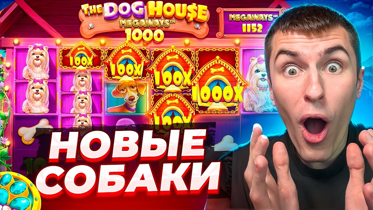 ОПЯТЬ НОВЫЕ СОБАКИ НО УЖЕ THE DOG HOUSE MEGAWAYS 1000! / ПОЙМАЛ МОЩНЫЙ ЗАНОС! ( ЗАНОСЫ НЕДЕЛИ )