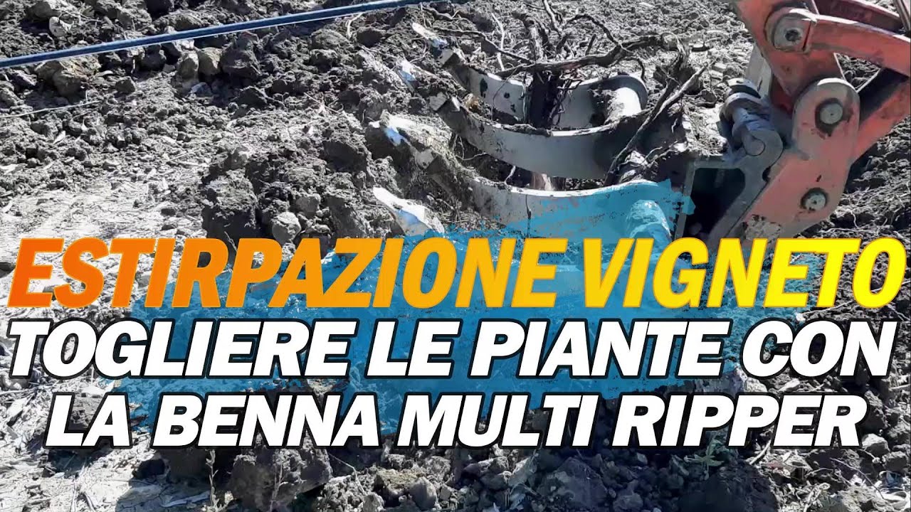ESTIRPAZIONE DEL VIGNETO senza togliere pali e fili.