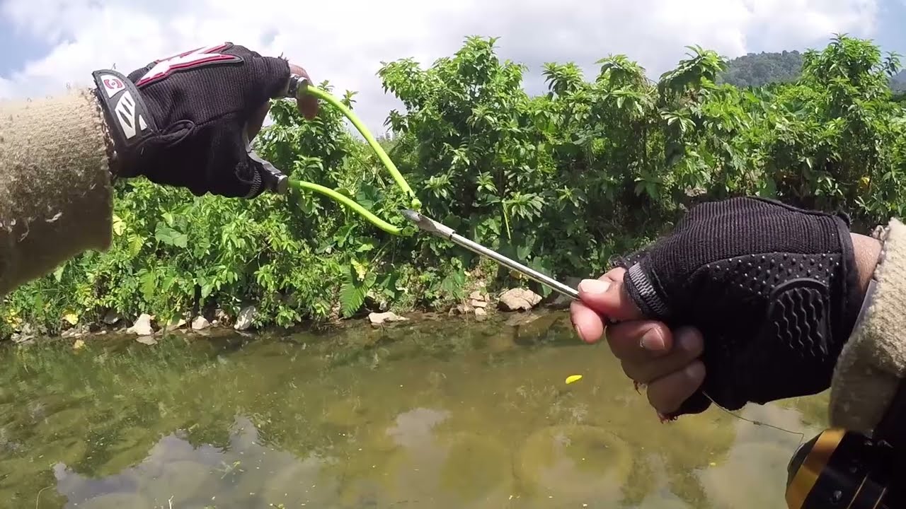 Belajar Lastik ikan