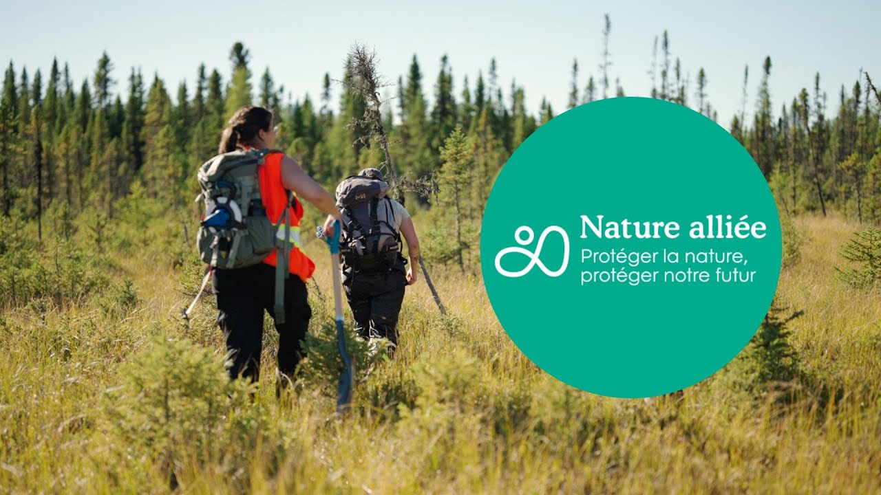La science du carbone: un outil indispensable pour la conservation