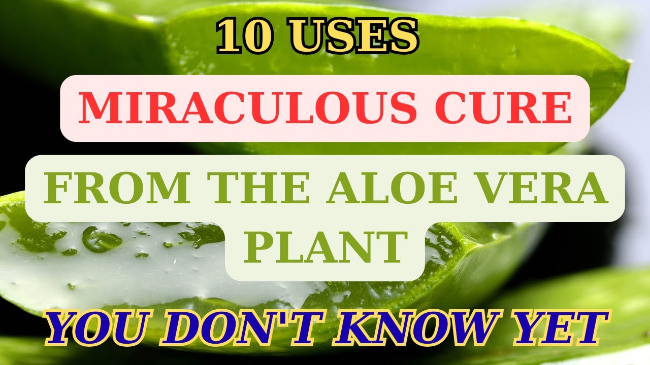 10 Amazing Healing Benefits of Aloe Vera You Never Knew