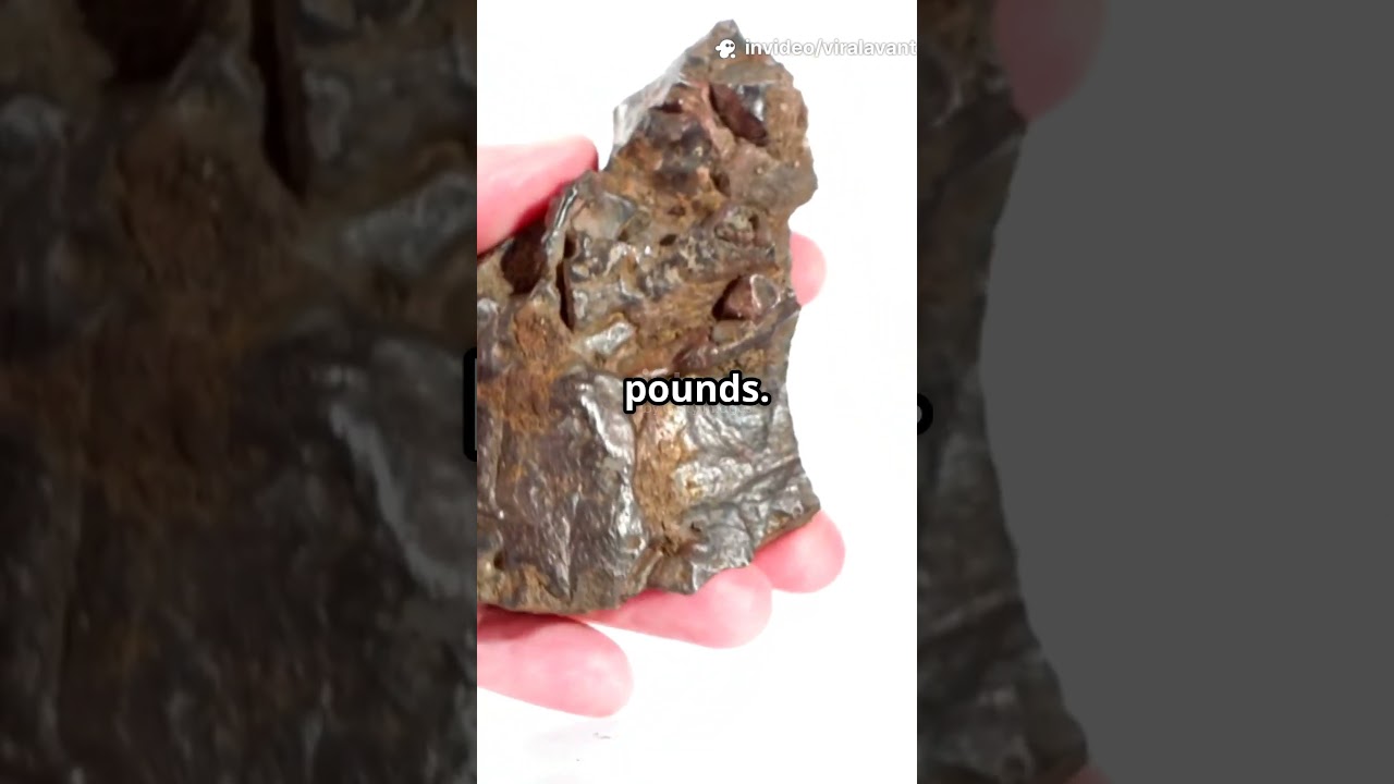Mars Meteorite Sells for Record $5.3M at Sotheby's! 