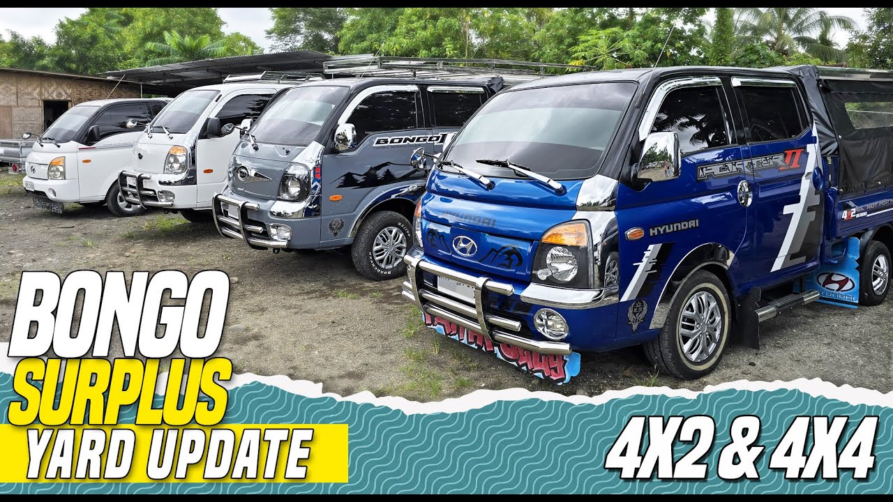 BONGO SURPLUS Yard Update | Made-to-order Units