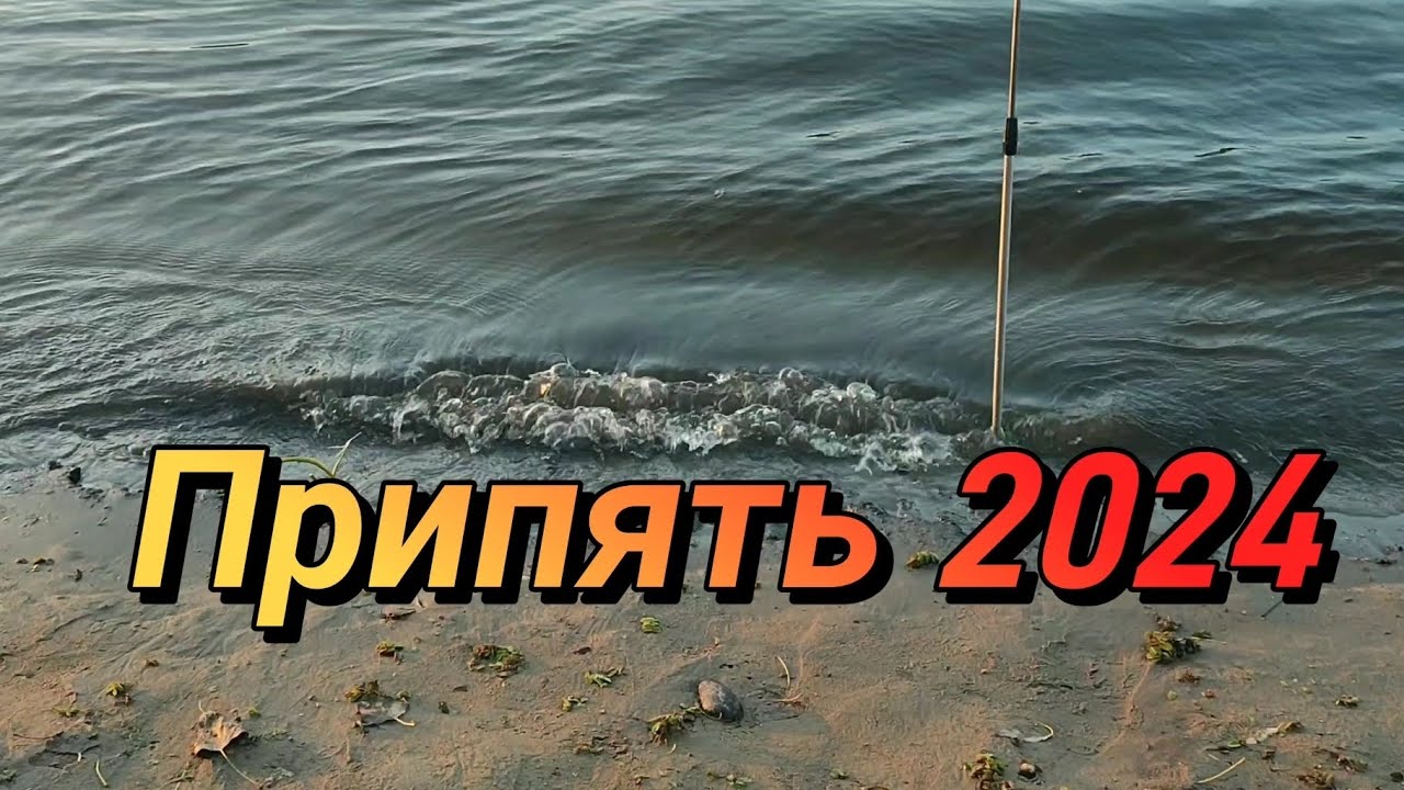 Припять 2024. Рыбалка и отдых  на Припяти.
