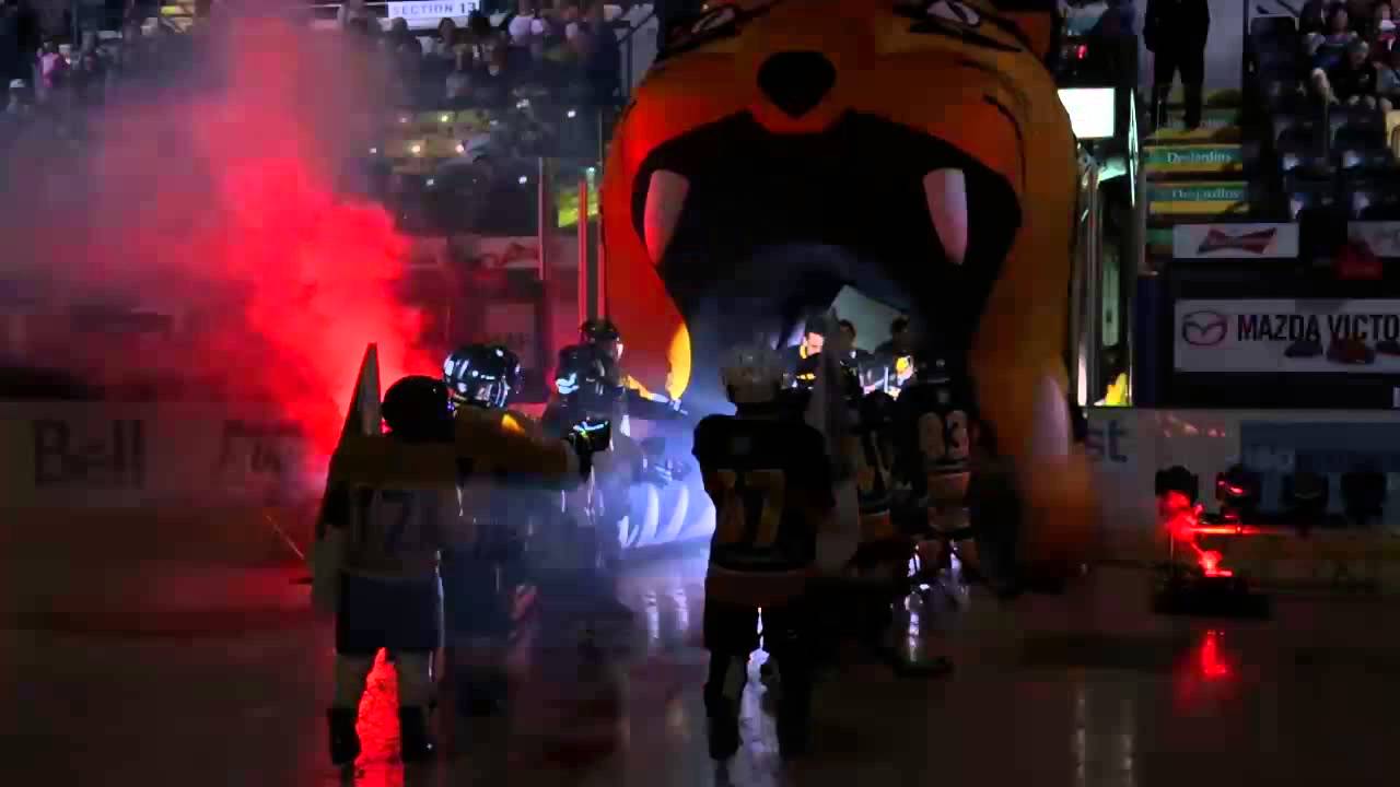 Présentation des joueurs Tigres de Victoriaville 2015 16