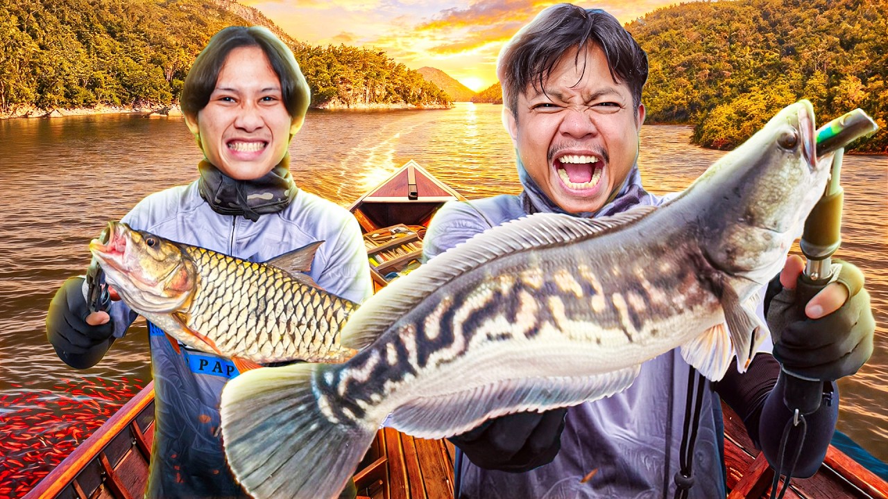 ล่าชะโด 