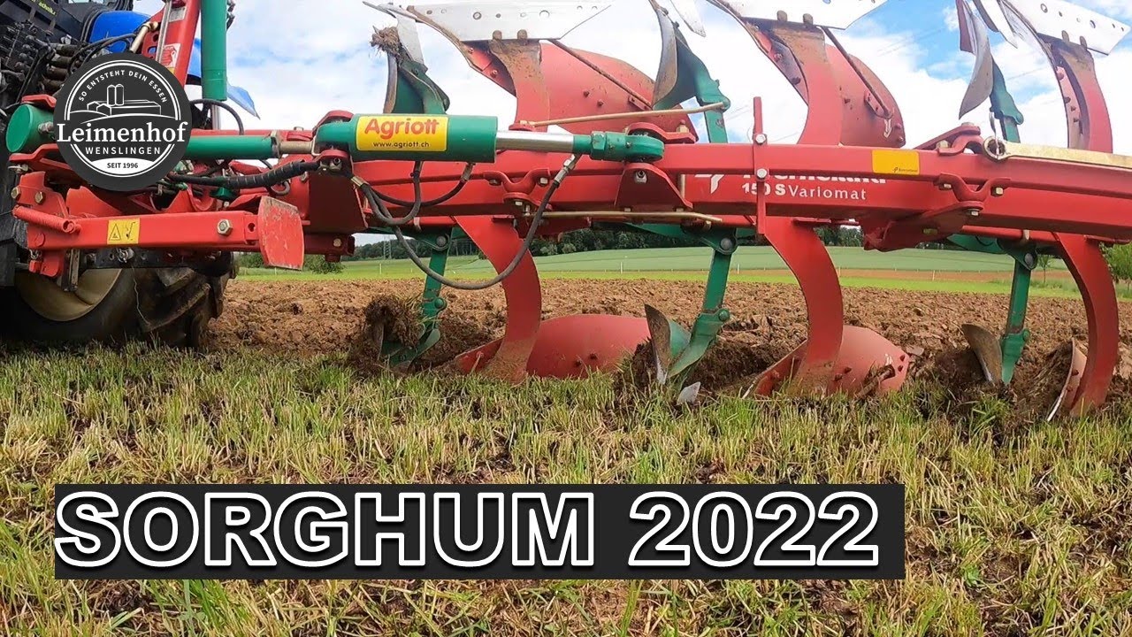 SORGHUM 2022 #FarmVlog 129