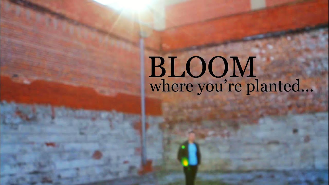 BLOOM where you're planted