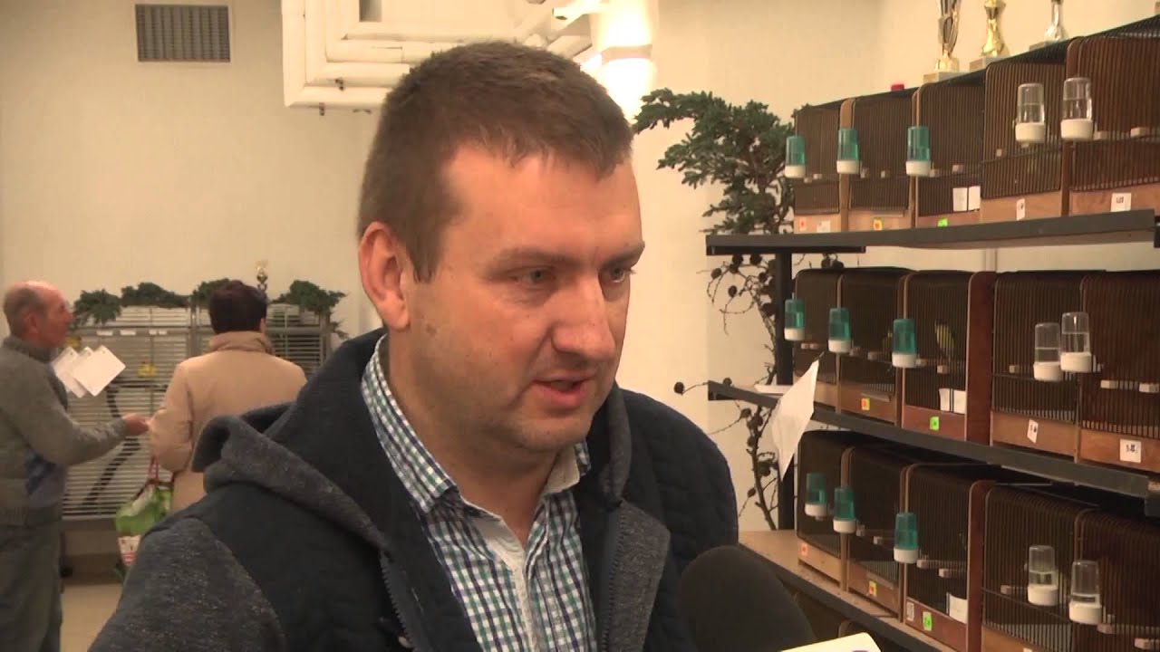 Wystawa kanarków i ptaków egzotycznych